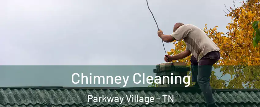 Chimney Cleaning Parkway Village - TN