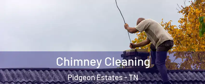 Chimney Cleaning Pidgeon Estates - TN