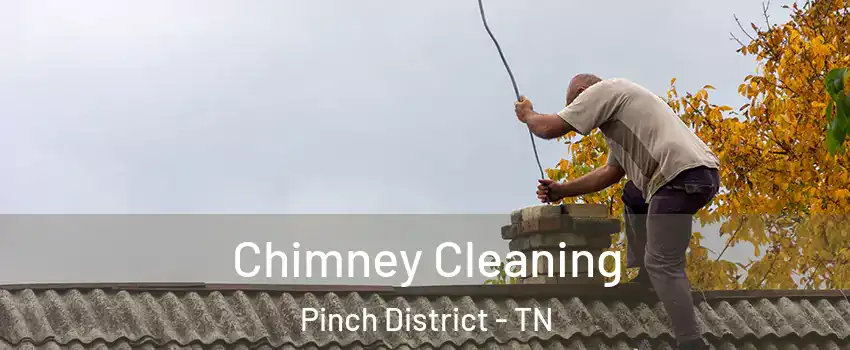 Chimney Cleaning Pinch District - TN