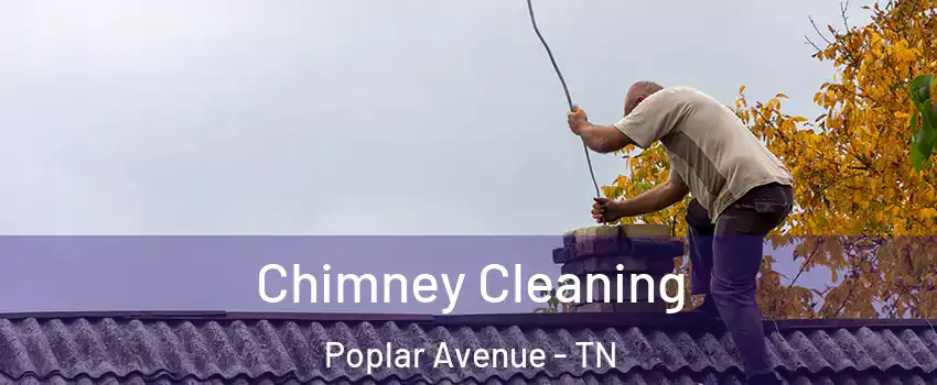 Chimney Cleaning Poplar Avenue - TN