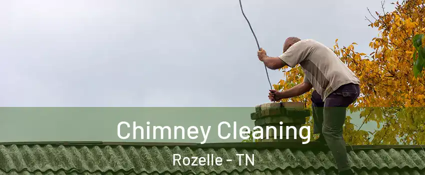 Chimney Cleaning Rozelle - TN