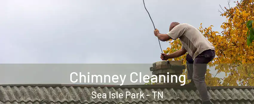 Chimney Cleaning Sea Isle Park - TN