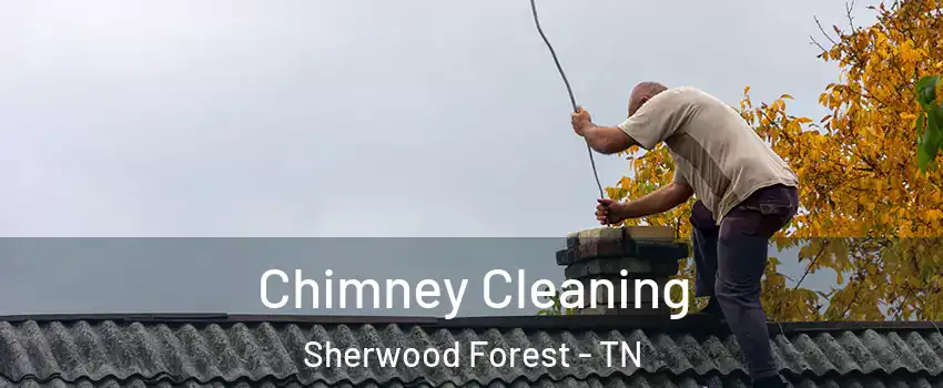 Chimney Cleaning Sherwood Forest - TN