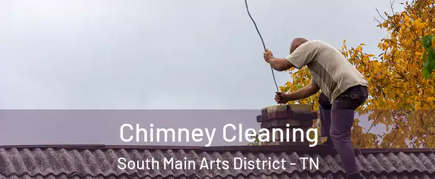 Chimney Cleaning South Main Arts District - TN