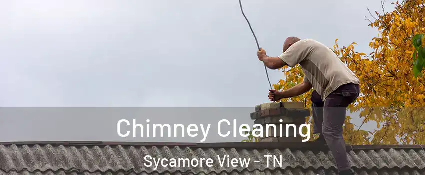 Chimney Cleaning Sycamore View - TN