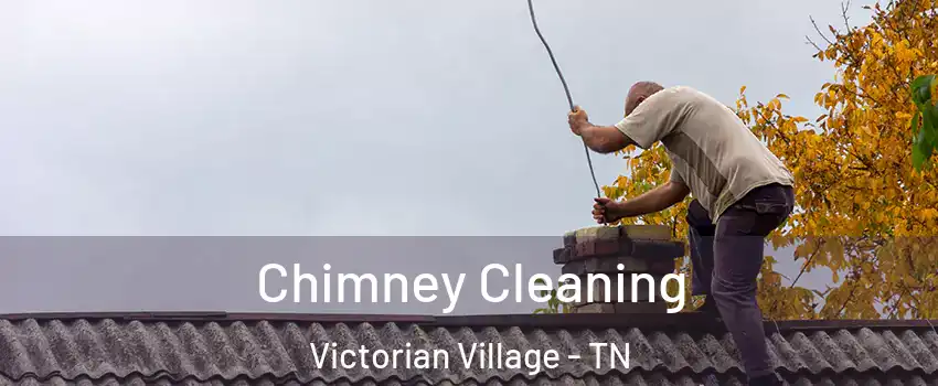 Chimney Cleaning Victorian Village - TN