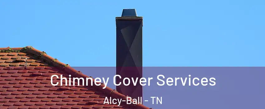 Chimney Cover Services Alcy-Ball - TN