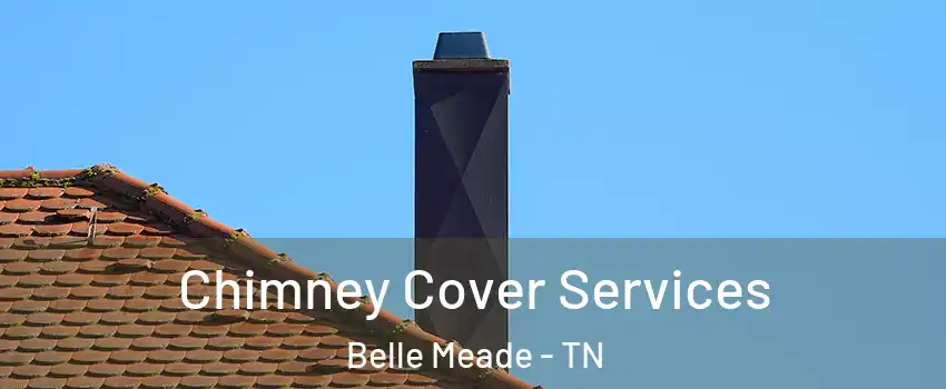 Chimney Cover Services Belle Meade - TN