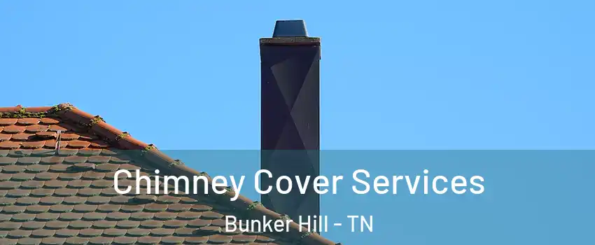 Chimney Cover Services Bunker Hill - TN