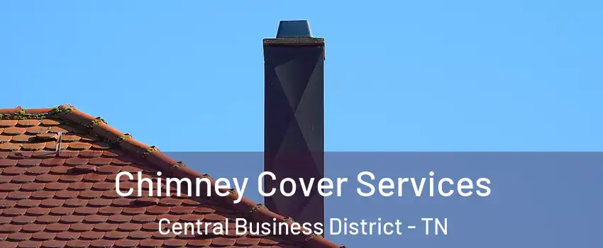 Chimney Cover Services Central Business District - TN