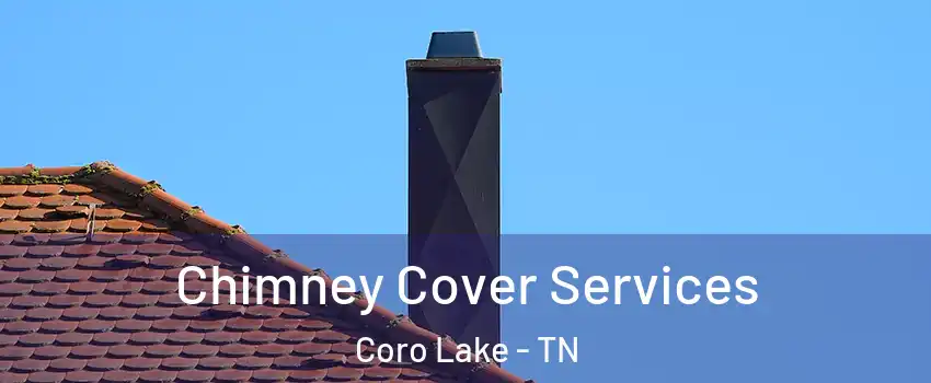 Chimney Cover Services Coro Lake - TN