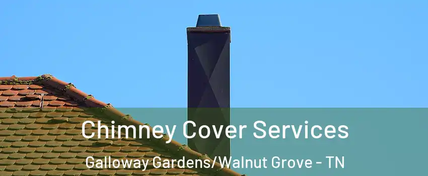 Chimney Cover Services Galloway Gardens/Walnut Grove - TN