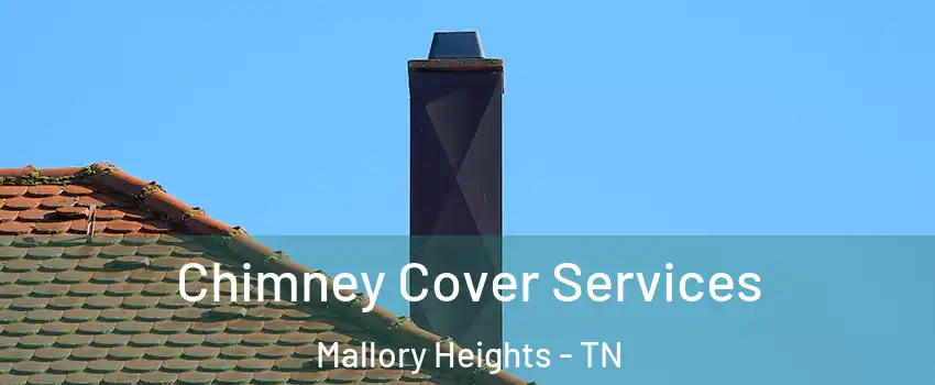 Chimney Cover Services Mallory Heights - TN