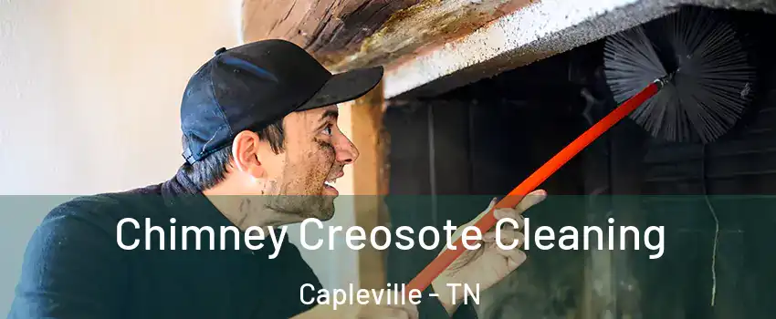 Chimney Creosote Cleaning Capleville - TN