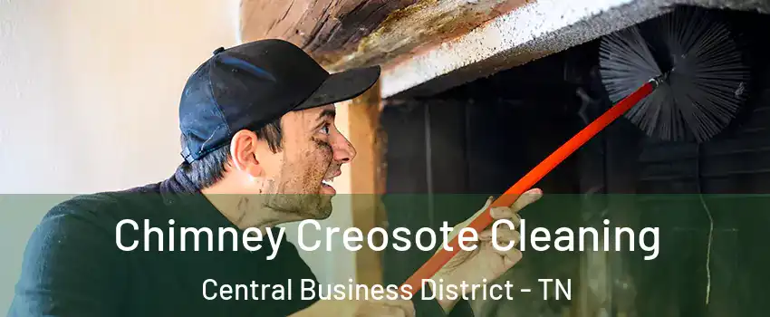 Chimney Creosote Cleaning Central Business District - TN