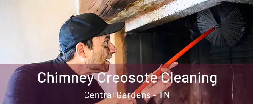 Chimney Creosote Cleaning Central Gardens - TN