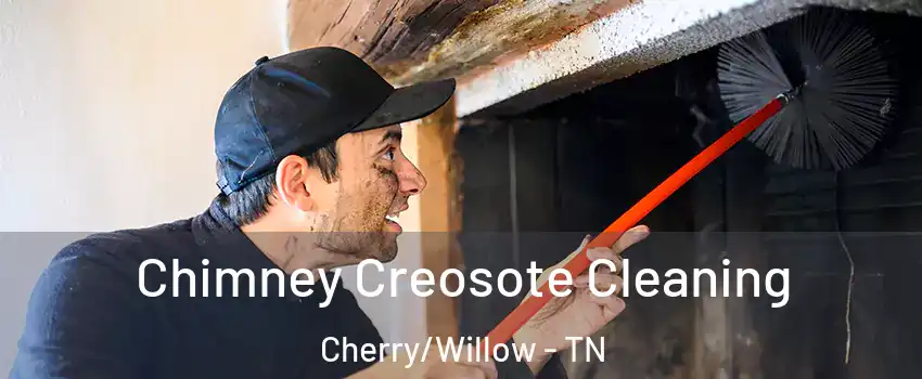 Chimney Creosote Cleaning Cherry/Willow - TN