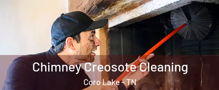 Chimney Creosote Cleaning Coro Lake - TN