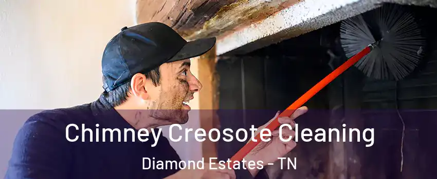 Chimney Creosote Cleaning Diamond Estates - TN