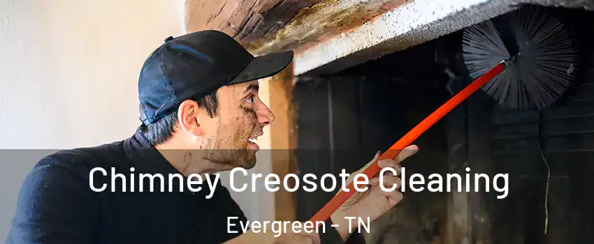 Chimney Creosote Cleaning Evergreen - TN