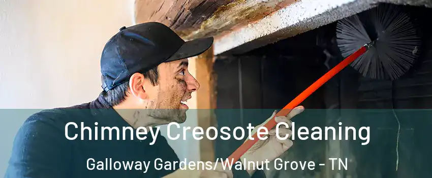 Chimney Creosote Cleaning Galloway Gardens/Walnut Grove - TN