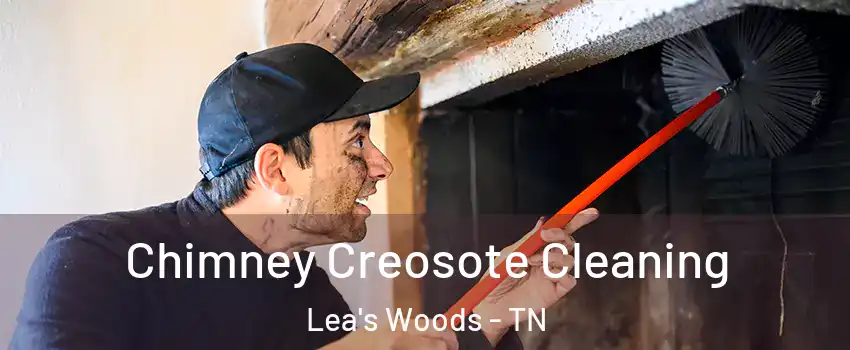 Chimney Creosote Cleaning Lea's Woods - TN