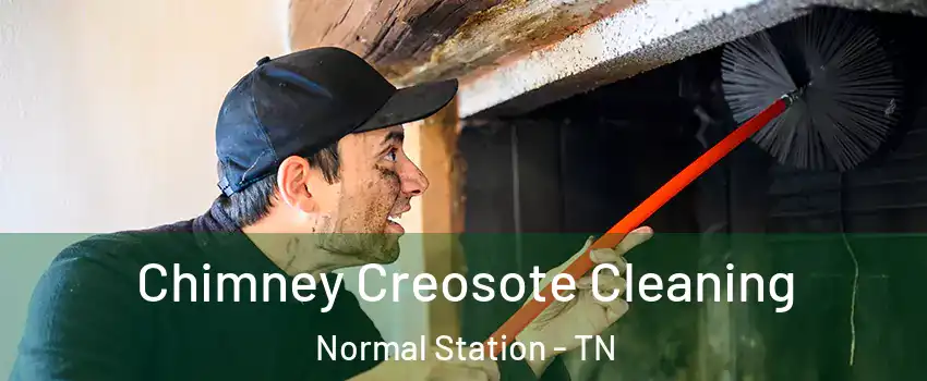 Chimney Creosote Cleaning Normal Station - TN