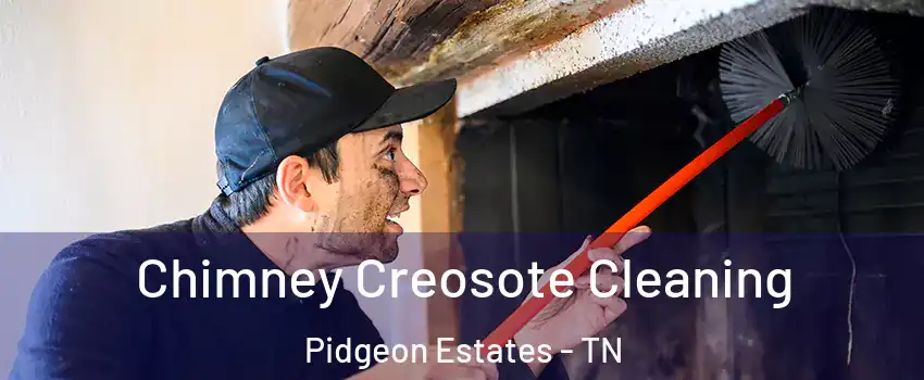 Chimney Creosote Cleaning Pidgeon Estates - TN