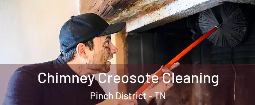 Chimney Creosote Cleaning Pinch District - TN