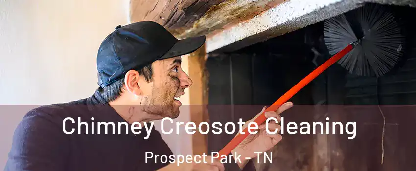 Chimney Creosote Cleaning Prospect Park - TN