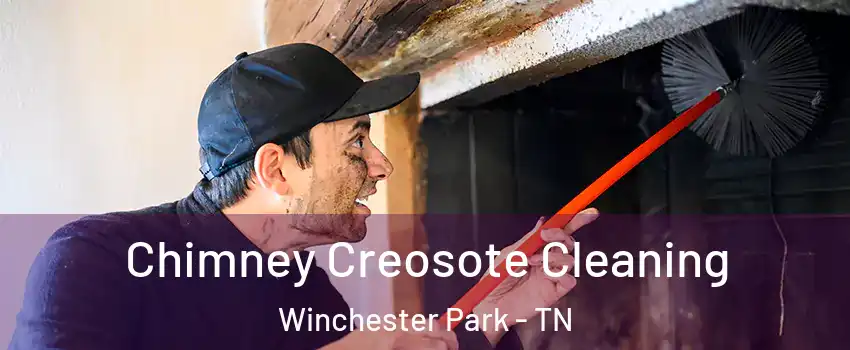 Chimney Creosote Cleaning Winchester Park - TN