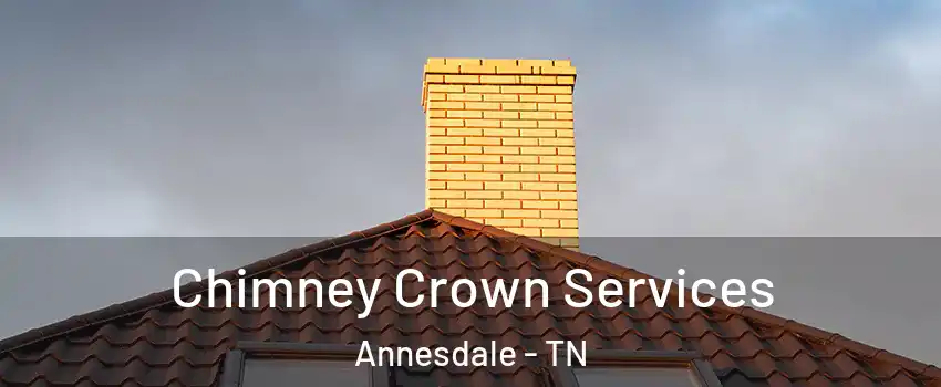 Chimney Crown Services Annesdale - TN