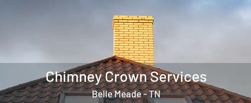 Chimney Crown Services Belle Meade - TN