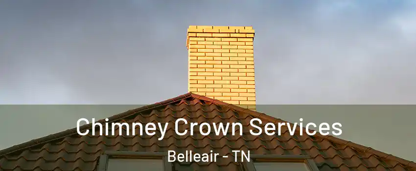 Chimney Crown Services Belleair - TN