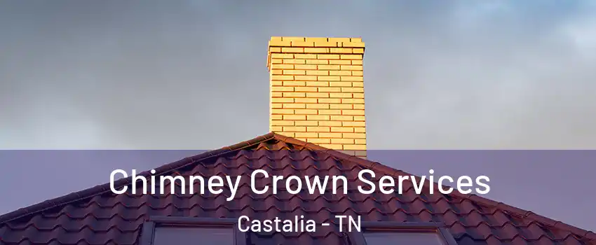 Chimney Crown Services Castalia - TN