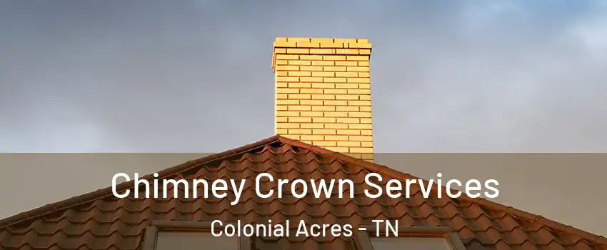 Chimney Crown Services Colonial Acres - TN