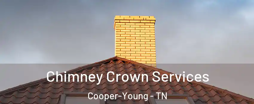 Chimney Crown Services Cooper-Young - TN