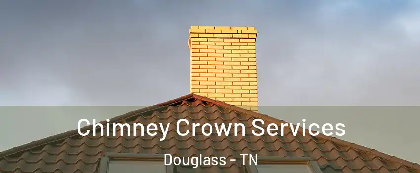 Chimney Crown Services Douglass - TN