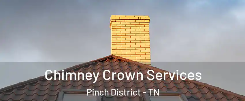 Chimney Crown Services Pinch District - TN