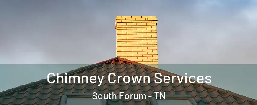 Chimney Crown Services South Forum - TN