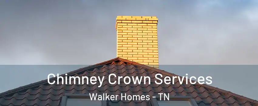 Chimney Crown Services Walker Homes - TN