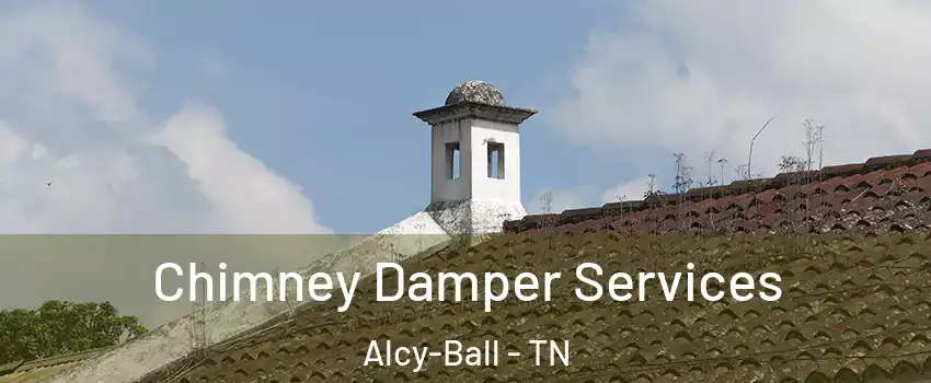 Chimney Damper Services Alcy-Ball - TN