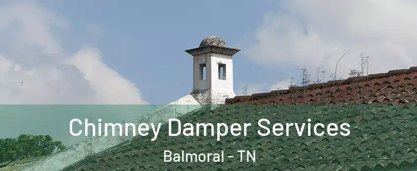 Chimney Damper Services Balmoral - TN