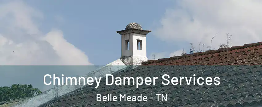 Chimney Damper Services Belle Meade - TN