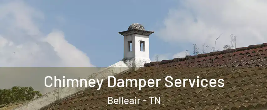 Chimney Damper Services Belleair - TN