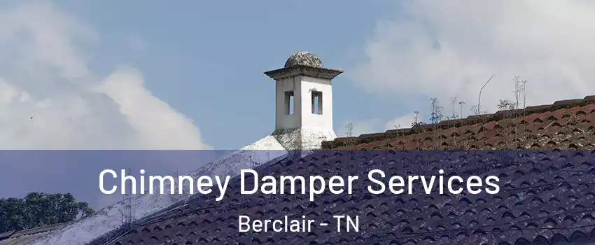 Chimney Damper Services Berclair - TN