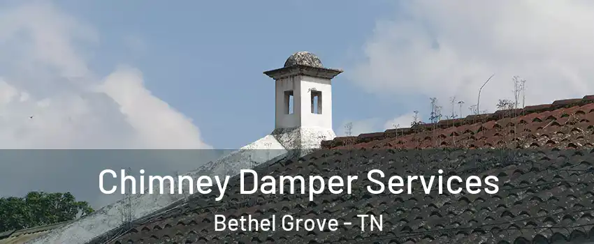 Chimney Damper Services Bethel Grove - TN