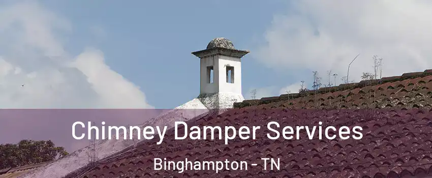 Chimney Damper Services Binghampton - TN