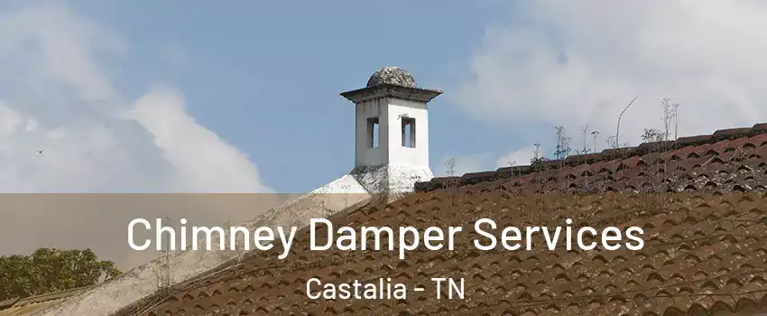 Chimney Damper Services Castalia - TN