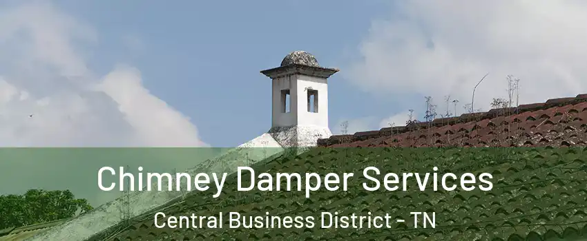 Chimney Damper Services Central Business District - TN